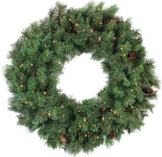 Northlight Pre-Lit Royal Oregon Pine Artificial Christmas Wreath