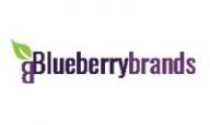Blueberry Brands Promo Codes & Coupons