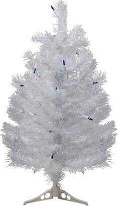 Northlight 2' Pre-Lit White Pine Artificial Christmas Tree - Blue Lights