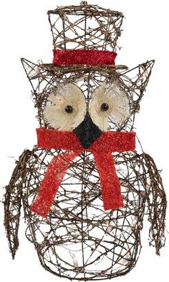 Northlight 21 Lighted Glitter Rattan Owl Christmas Outdoor Decoration