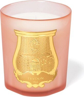 Tuileries scented candle (270 g)