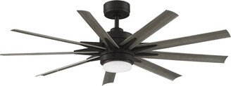 Odyn Outdoor Ceiling Fan with Light