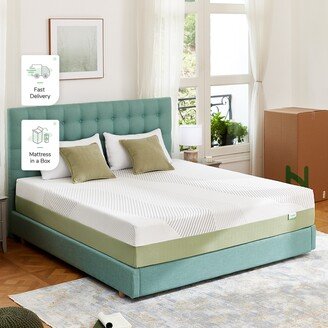 12 Inch Gel Memory Foam Mattress in a Box