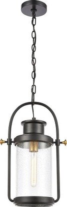 Elk Home Wexford Outdoor Pendant Light