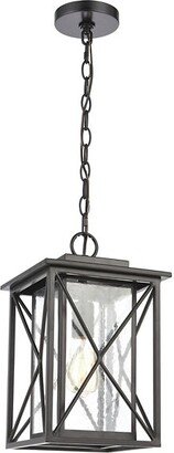 Elk Home Carriage Light Outdoor Pendant