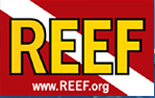 Reef Promo Codes & Coupons