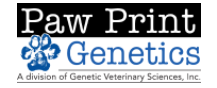 Paw Print Genetics Promo Codes & Coupons