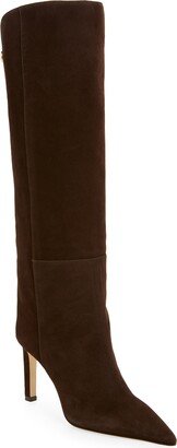 Alizze Pointed Toe Tall Boot