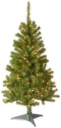 National Tree Company National Tree 4' Canadian Fir Grande Wrapped Tree with 100 Clear Lights