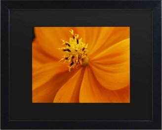 Kurt Shaffer Orange Flower Matted Framed Art - 15 x 20