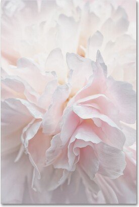 Cora Niele 'Pink Peony Petals Iv' Canvas Art - 19 x 12 x 2