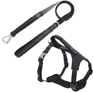 'Geo-prene' 2-in-1 Shock Absorbing Neoprene Padded Reflective Dog Leash & Harness - Large