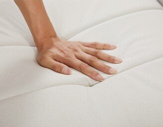 IGEMANINC Elegant Convertible Sofa & Sofa Bed Accent Sofa, Loveseat Sofa, Folding Futon Sofa Bed