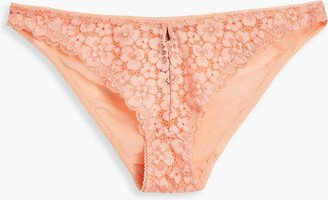 Lace and stretch-jersey mid-rise briefs-AC