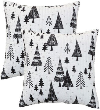 Closeout! Northern Star 2-Pack Sham Set, European