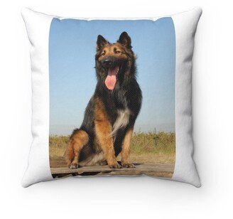 Purebred Belgian Shepherd Pillow - Throw Custom Cover Gift Idea Room Decor