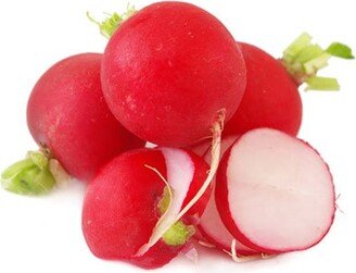 Radish Burro Gigante Seeds - Code 503