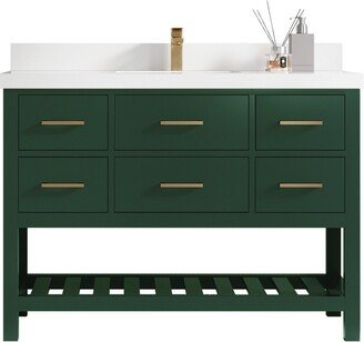 Parker 48 In. W X 22 D Single Sink Bathroom Vanity in Lafayette Green With Quartz Or Marble Countertop | Modern Vanity Premium Q