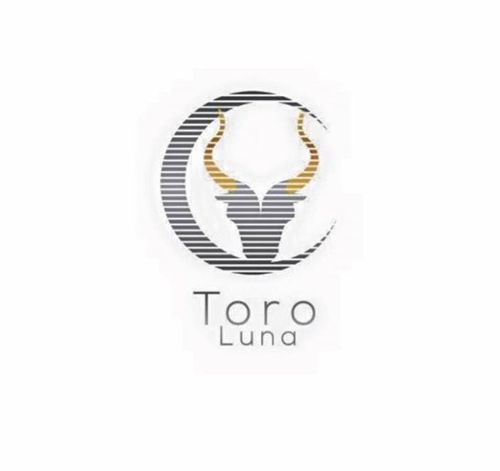Toro Luna Watches Promo Codes & Coupons