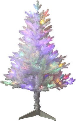 3' Pre-lit Led Jackson Pine Tree