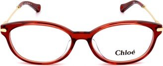Cat-Eye Glasses-BU