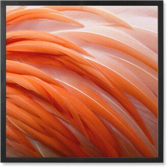 Photo Tiles: Flamingo Feathers Photo Tile, Black, Framed, 8X8, Pink