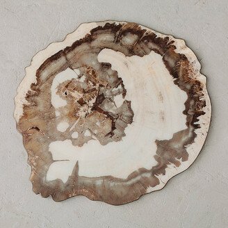 Petrified Wood Charger