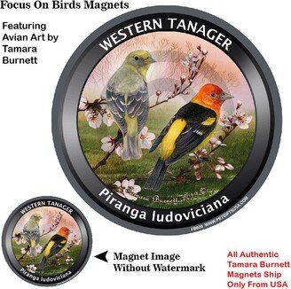 Western Tanager Spring Scene Focus On Bird Magnet