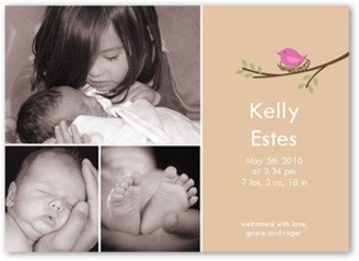 Birth Announcements: Little Birdie Birth Announcement, Beige, Luxe Double-Thick Cardstock, Square