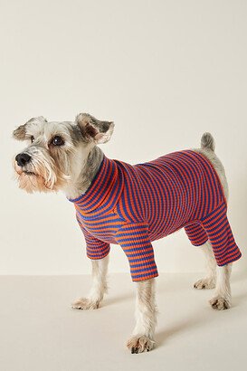 Little Beast Knickerbocker Dog Onesie