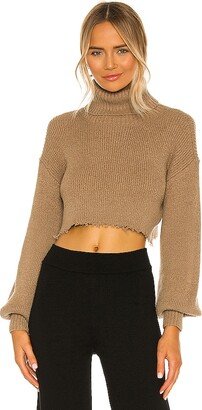 Lucia Cropped Turtleneck