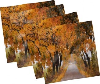 Fall Set of 4 Napkins, 18