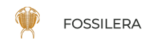 Fossilera Promo Codes & Coupons