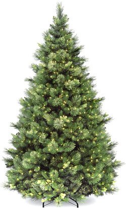 National Tree Company 6.5Ft Carolina Pine Tree With 650 Clear Lights