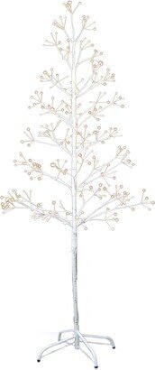 5' Birch Tree with Warm Led 8 Function Lights