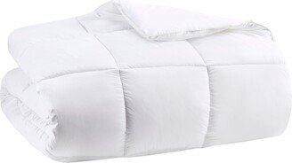 Clean Spaces Allergen Barrier Microbial Resistant Down-Alternative Comforter,, Twin