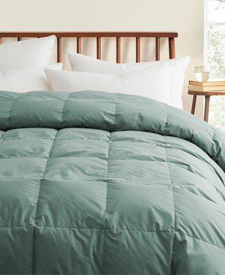 All Season 300 Thread Count Cotton Down Fiber Comforter, Full/Queen