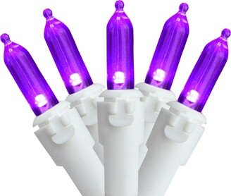 Northlight Set of 100 Purple Led Mini Christmas Lights 4 Spacing - White Wire