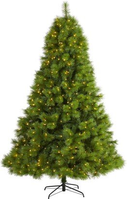8ft. Green Scotch Pine Artificial Christmas Tree with 600 Clear LED Lights