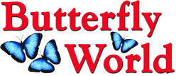Butterfly World Promo Codes & Coupons