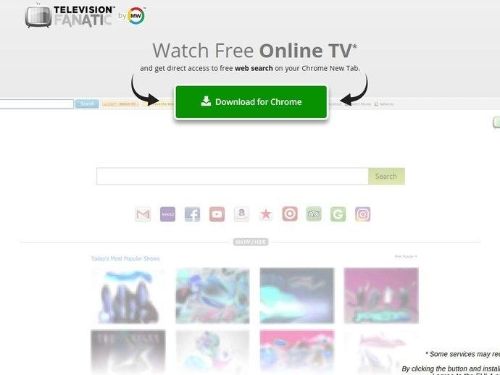 Tv Fanatic Promo Codes & Coupons