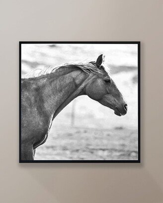 Grand Image Home Horse Farm Black & White Giclee by Chris Dunker