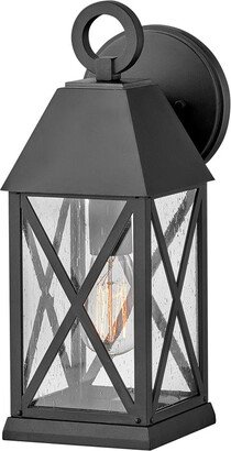 Briar Outdoor Wall Sconce