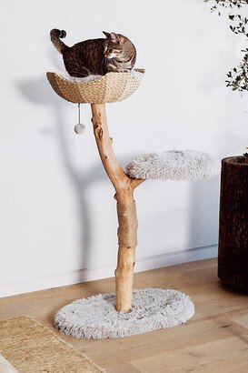 Mau Pet Uni Cat Tree