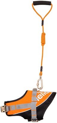 PETKIT Medium Orange Helios Bark-Mudder Easy Tension Reflective Endurance 2-in-1 Adjustable Dog Leash & Harness