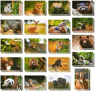 Best Paper Greetings Wild Animal Postcards – 40 Postcards – Bulk Set - Featuring Tigers, Bears, Giraffes, Elephants, & More – 4 x 6 Inches