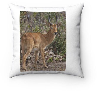 Puku Antelope Pillow - Throw Custom Cover Gift Idea Room Decor