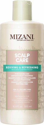 Scalp Care Anti-Dandruff Shampoo