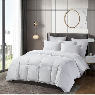 Beautyrest 300 Thread Count European All-Seasons Comforter