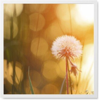 Photo Tiles: Blurred Dandelion Photo Tile, White, Framed, 8X8, Orange